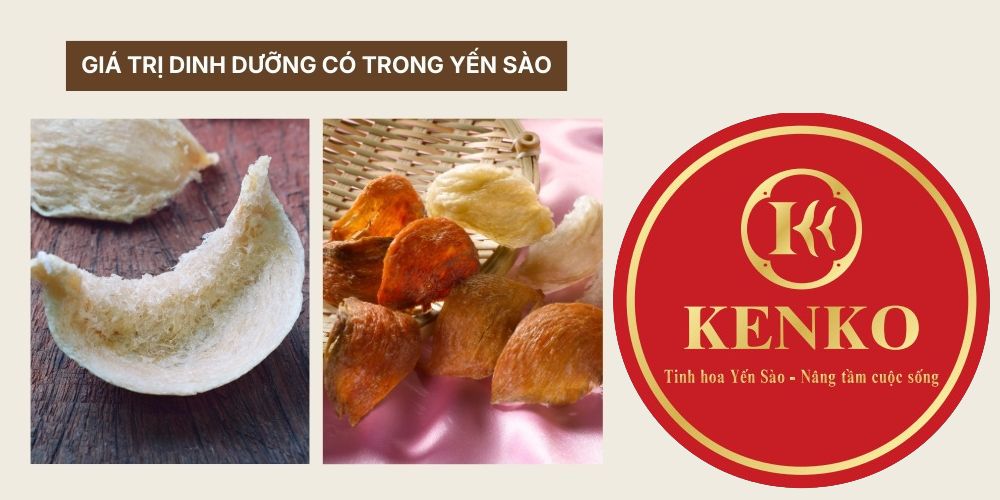Giá trị dinh dưỡng của yến sào
