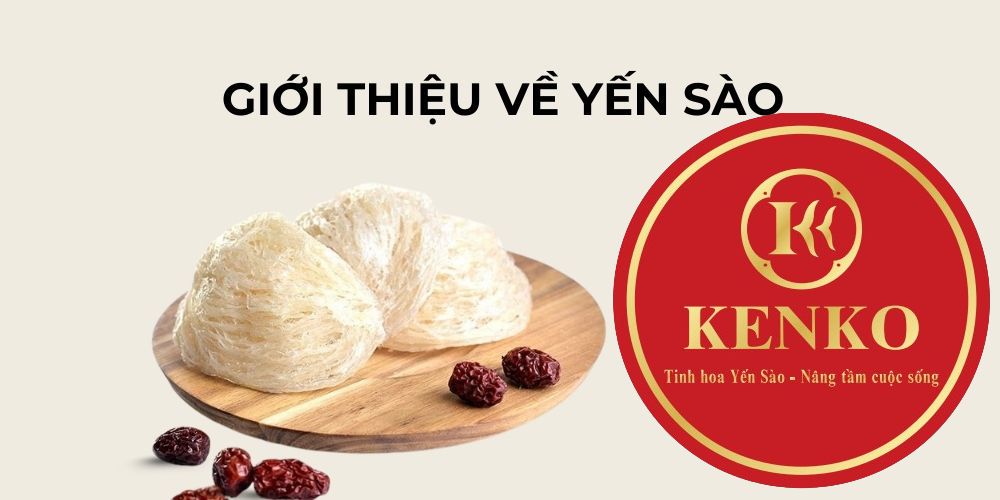 Giới thiệu về yến sào 