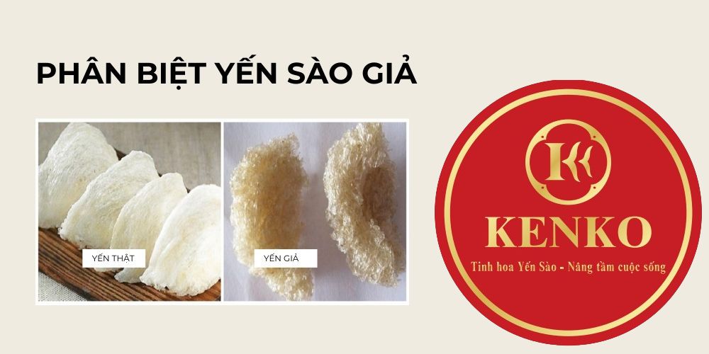 Hình ảnh thực tế yến sào thật và giả