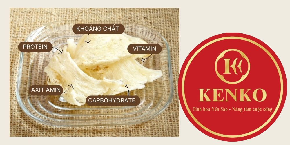 Thành phần dinh dưỡng của yến sào