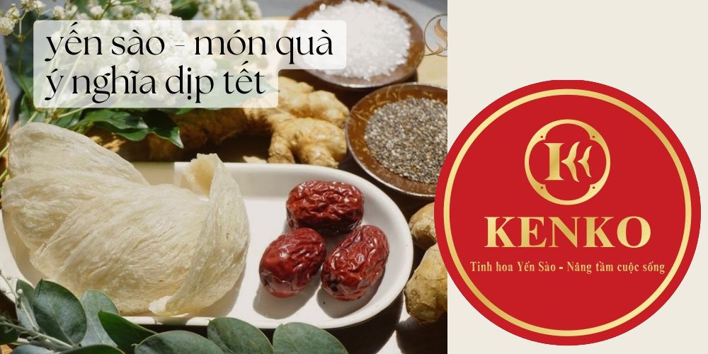 Yến Sào - Món quà ý nghĩa dịp Tết